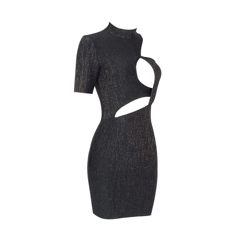 Black Half high Collar Bodycon Dress